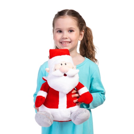 Подарок «Дед Мороз» 300г Стандарт ПТЗ-39мс